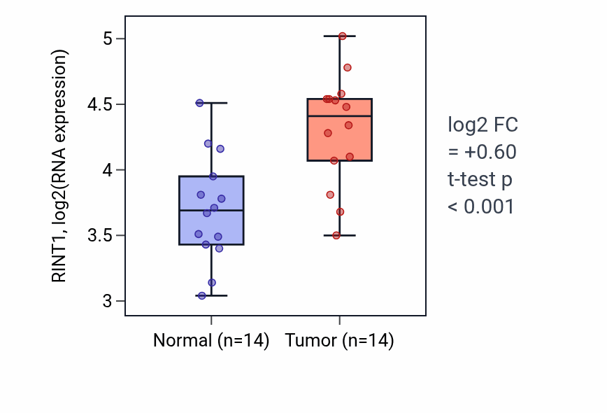 Tumor-vs-normal expression box plot for RINT1 RNA in KIRC.
