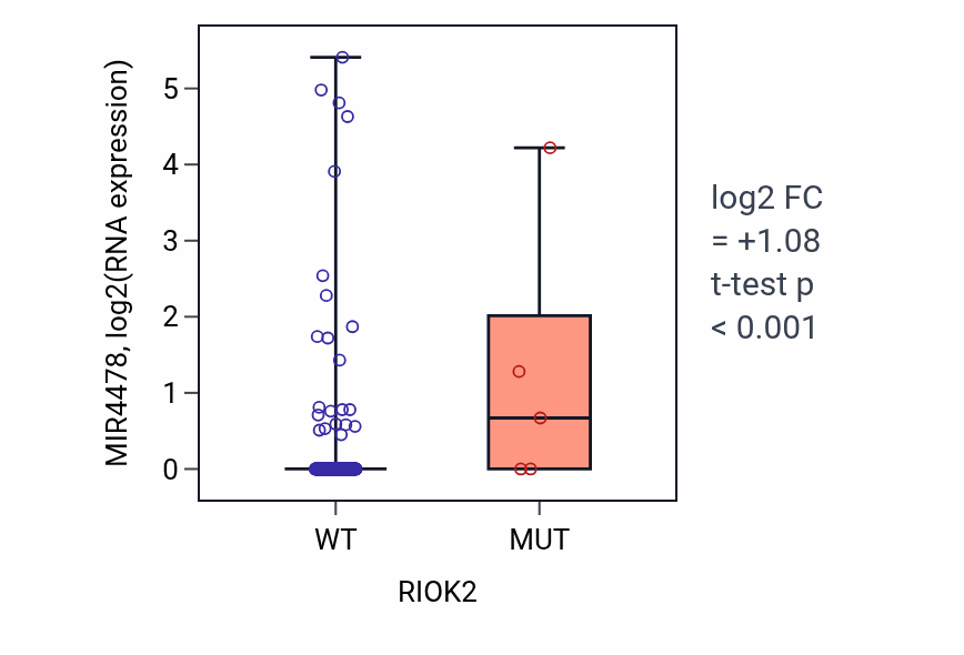 Box plot of MIR4478 in RIOK2-low vs RIOK2-high samples in CESC.