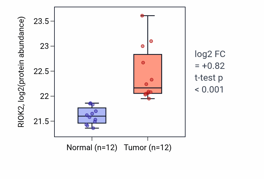 Tumor-vs-normal mass-spec protein box plot for RIOK2 in CCRCC.