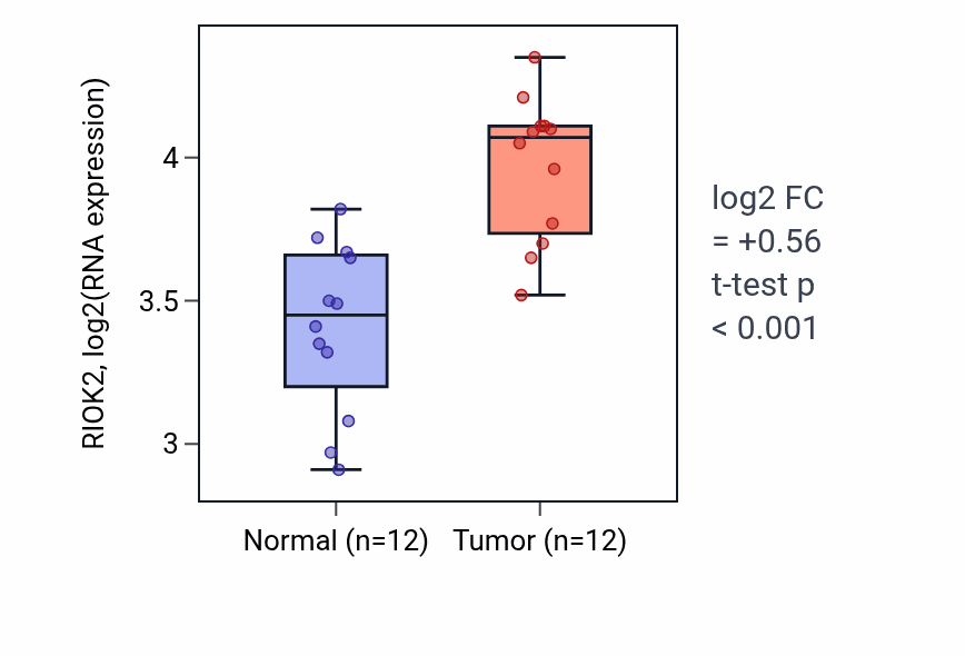 Tumor-vs-normal expression box plot for RIOK2 RNA in KIRC.