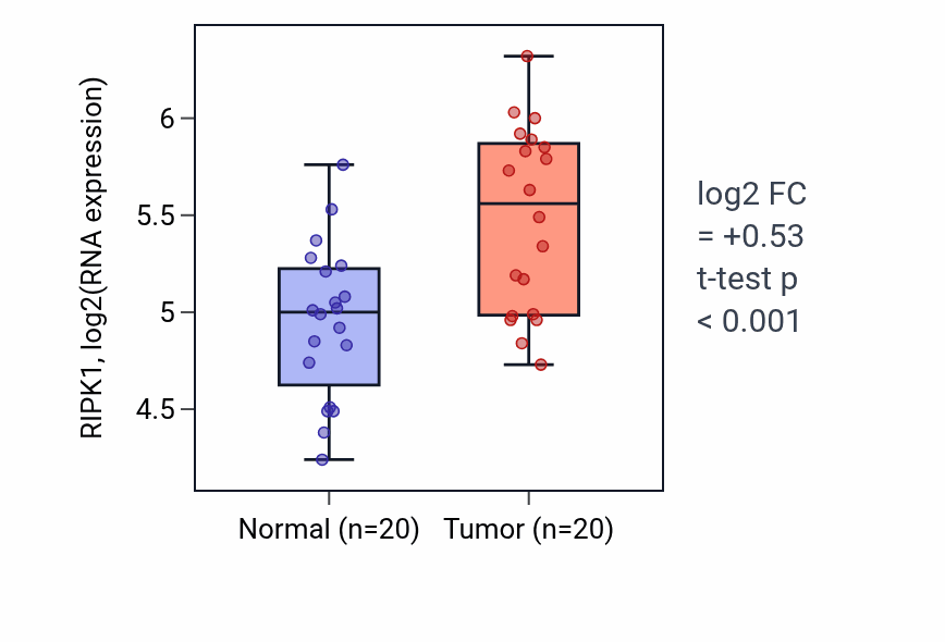 Tumor-vs-normal expression box plot for RIPK1 RNA in KIRC.
