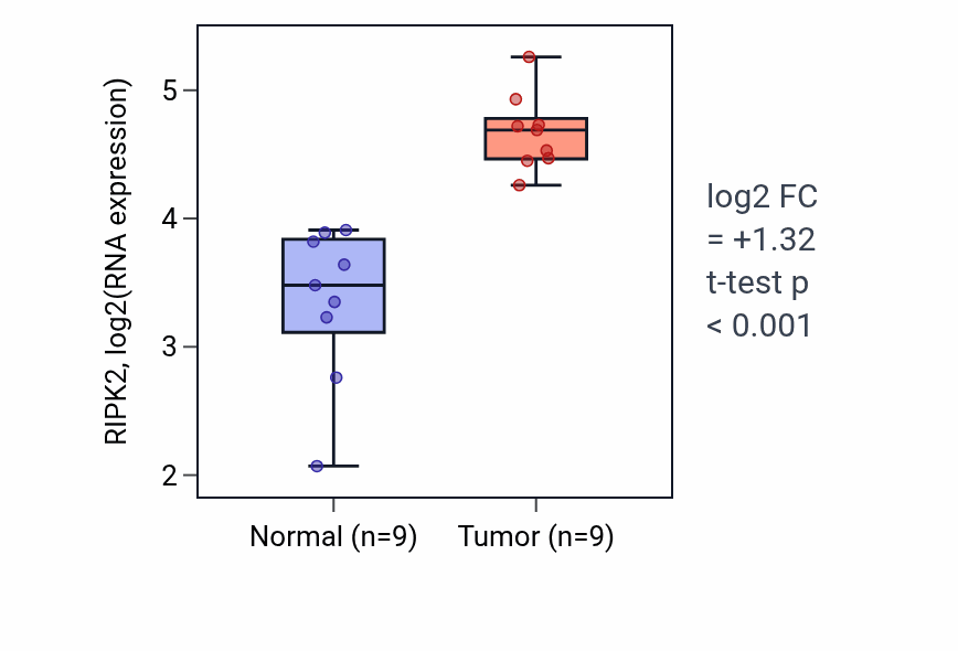 Tumor-vs-normal expression box plot for RIPK2 RNA in HNSC.