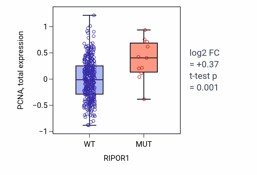 Box plot of PCNA in RIPOR1-low vs RIPOR1-high samples in COAD.