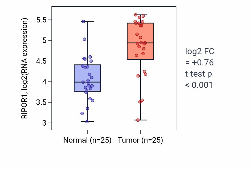 Tumor-vs-normal expression box plot for RIPOR1 RNA in HNSC.