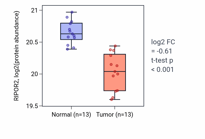 Tumor-vs-normal mass-spec protein box plot for RIPOR2 in LUAD.