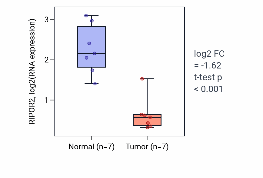 Tumor-vs-normal expression box plot for RIPOR2 RNA in KICH.