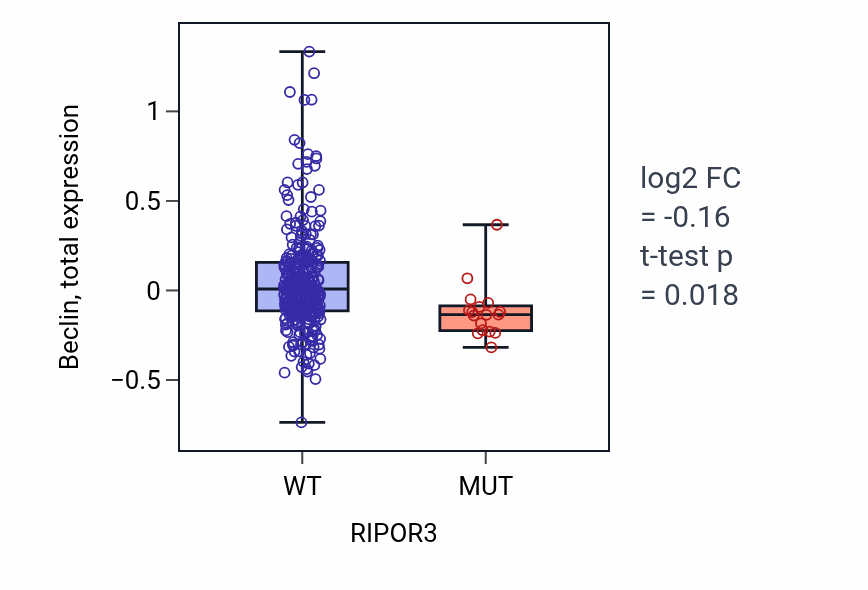Box plot of Beclin in RIPOR3-low vs RIPOR3-high samples in SKCM.