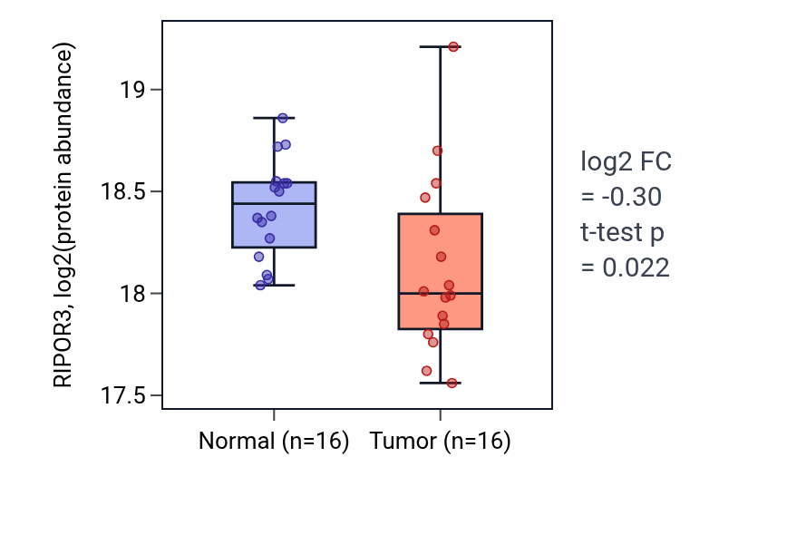 Tumor-vs-normal mass-spec protein box plot for RIPOR3 in CCRCC.