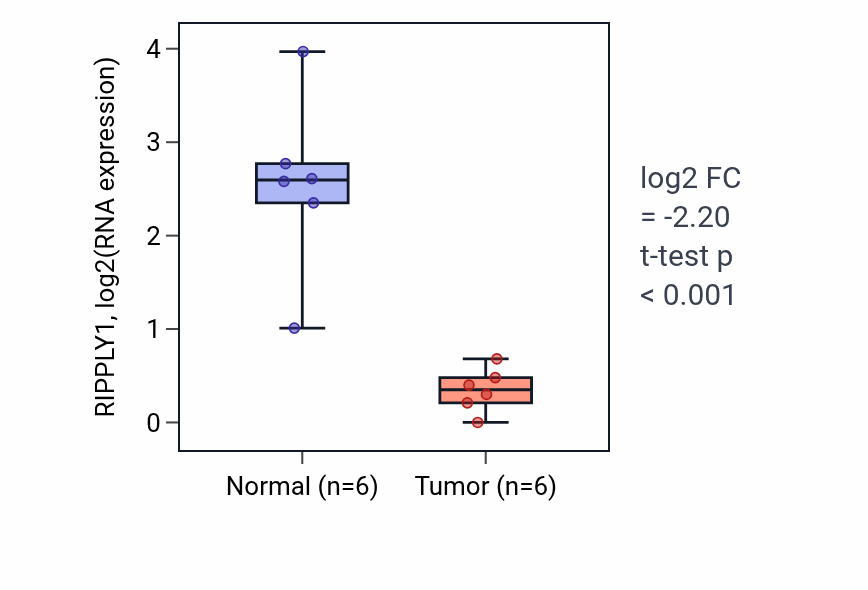 Tumor-vs-normal expression box plot for RIPPLY1 RNA in KIRC.