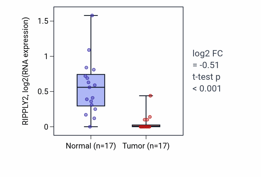 Tumor-vs-normal expression box plot for RIPPLY2 in COAD.