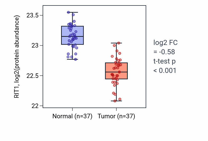 Tumor-vs-normal mass-spec protein box plot for RIT1 in LUAD.