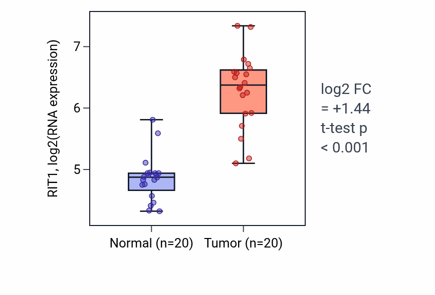 Tumor-vs-normal expression box plot for RIT1 RNA in KIRC.
