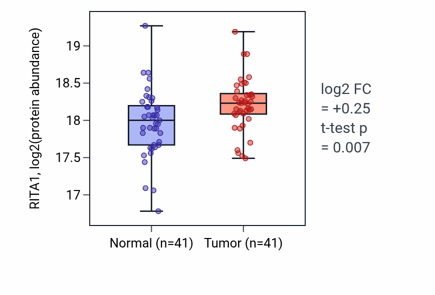 Tumor-vs-normal mass-spec protein box plot for RITA1 in LSCC.