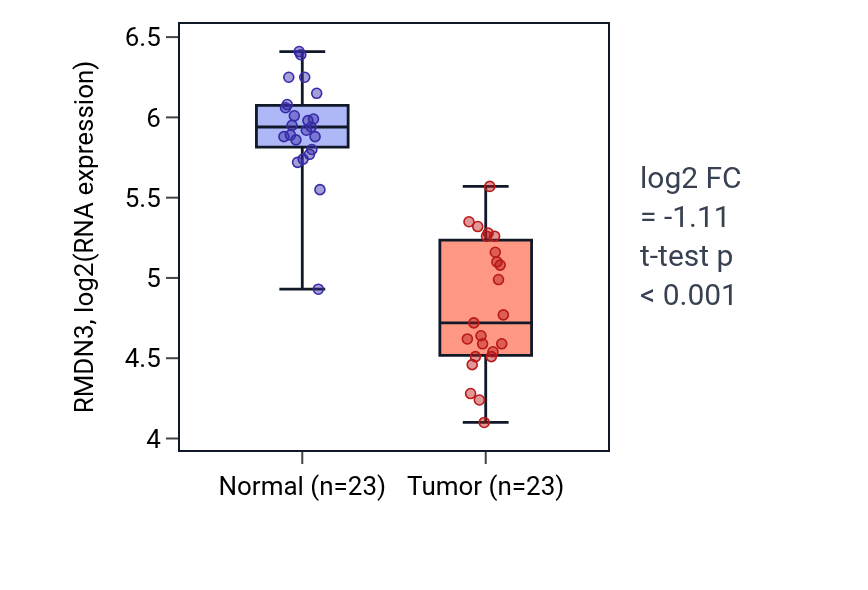 Tumor-vs-normal expression box plot for RMDN3 in LUAD.