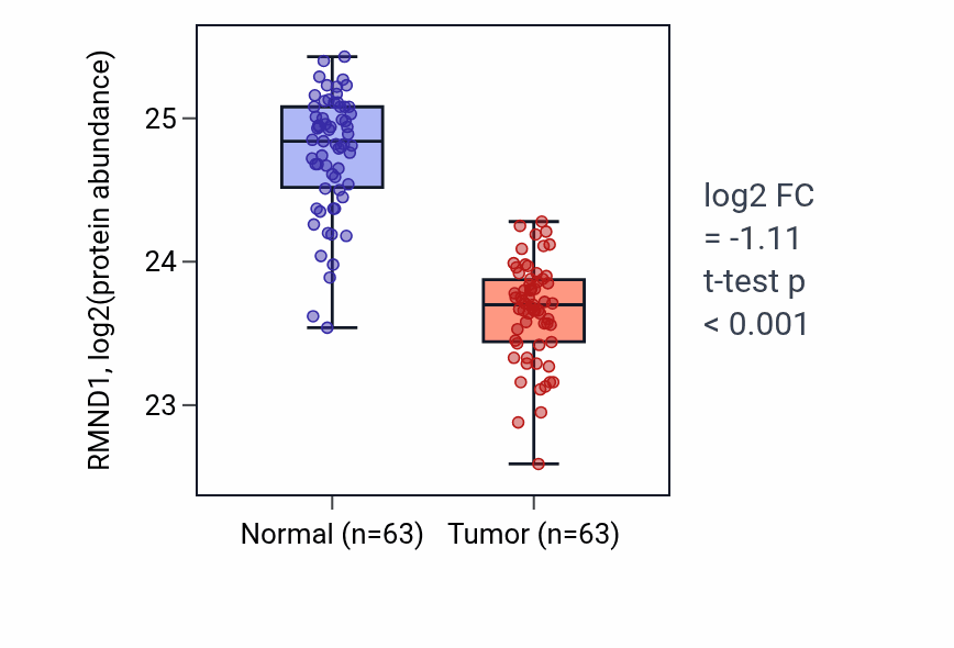 Tumor-vs-normal mass-spec protein box plot for RMND1 in CCRCC.