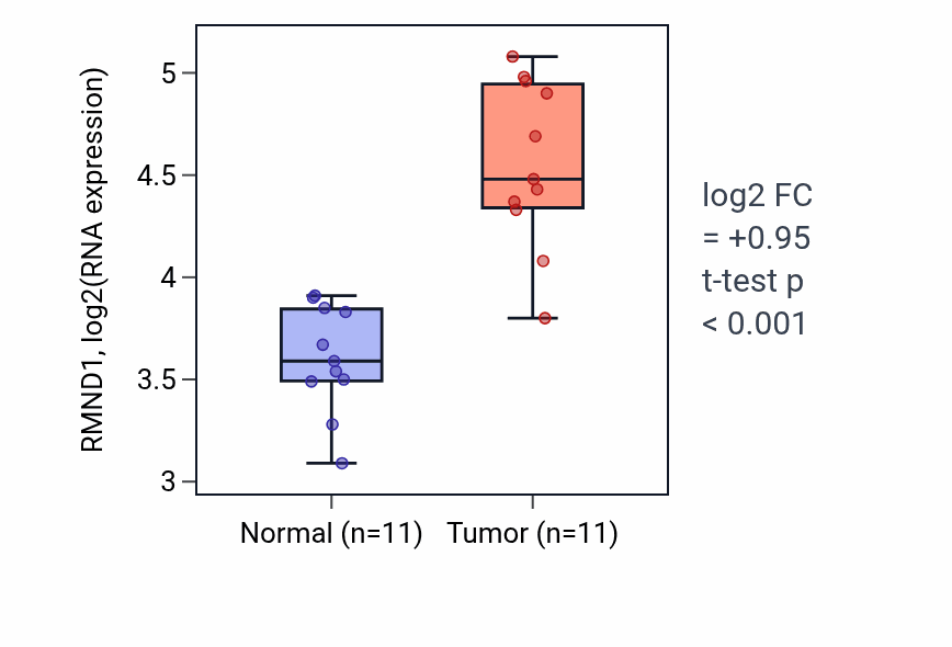 Tumor-vs-normal expression box plot for RMND1 RNA in HNSC.