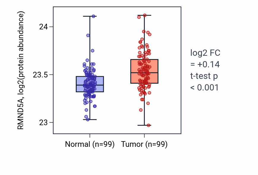 Tumor-vs-normal mass-spec protein box plot for RMND5A in LSCC.