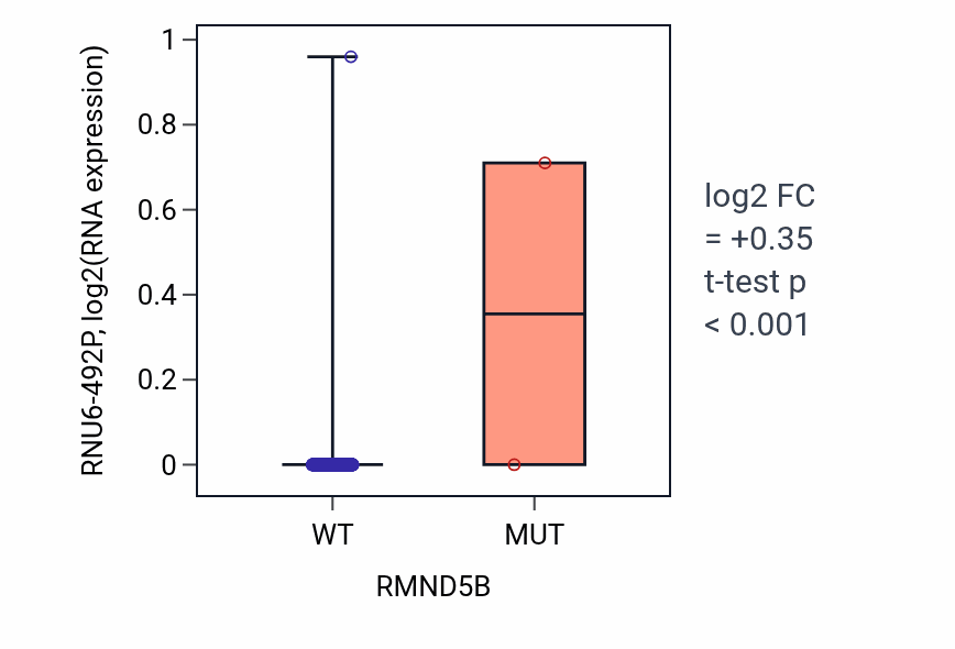 Box plot of RNU6-492P in RMND5B-low vs RMND5B-high samples in HNSC.