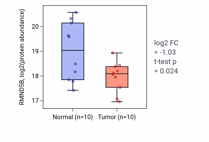 Tumor-vs-normal mass-spec protein box plot for RMND5B in HNSC.