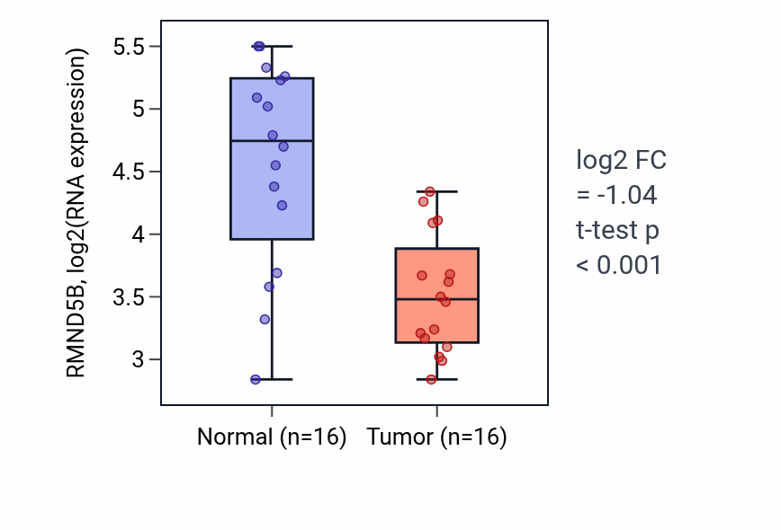 Tumor-vs-normal expression box plot for RMND5B RNA in HNSC.