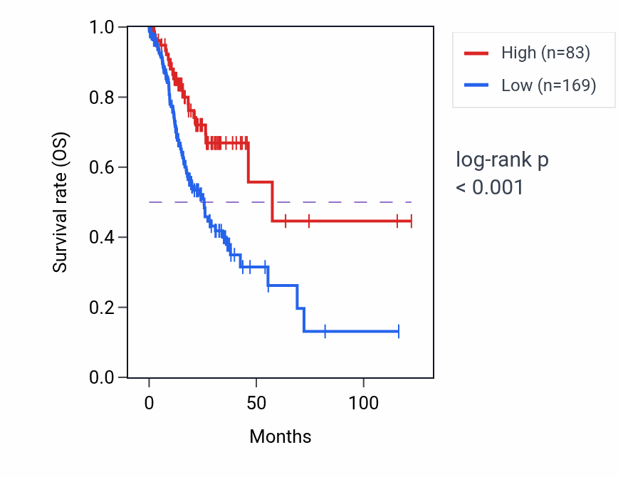 Kaplan&ndash;Meier survival curve for RN7SL163P RNA expression in STAD: high vs low expression groups.