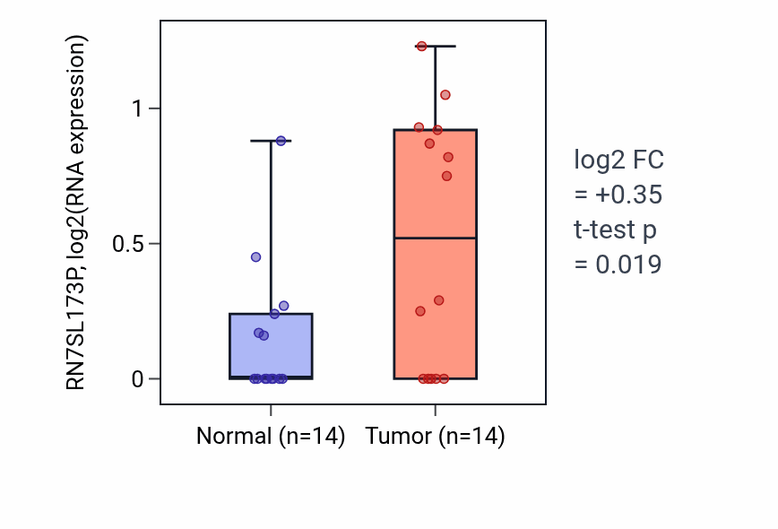 Tumor-vs-normal expression box plot for RN7SL173P RNA in STAD.