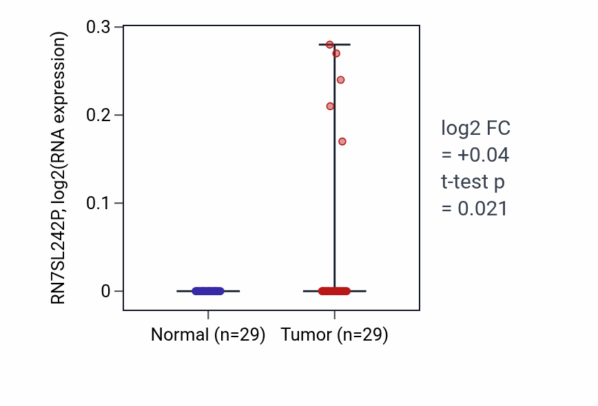 Tumor-vs-normal expression box plot for RN7SL242P in HNSC.