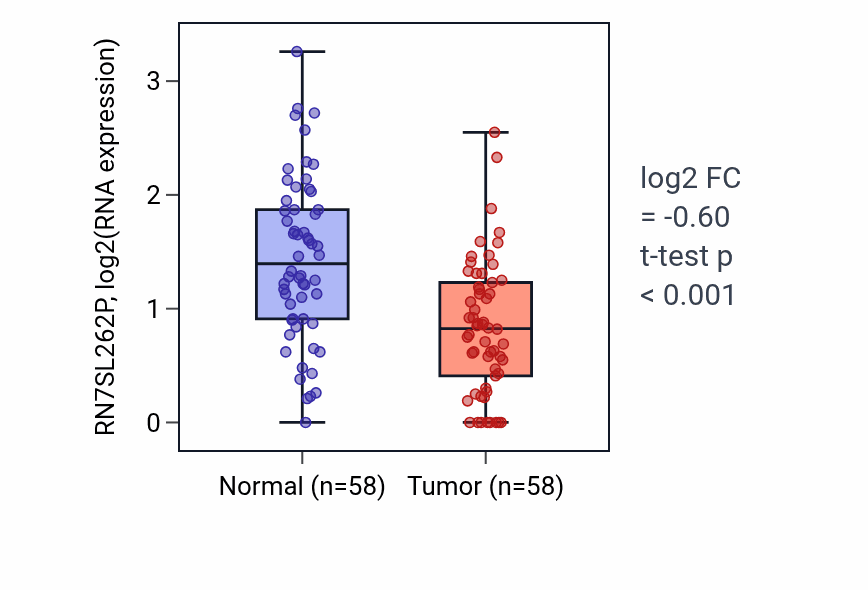 Tumor-vs-normal expression box plot for RN7SL262P RNA in THCA.
