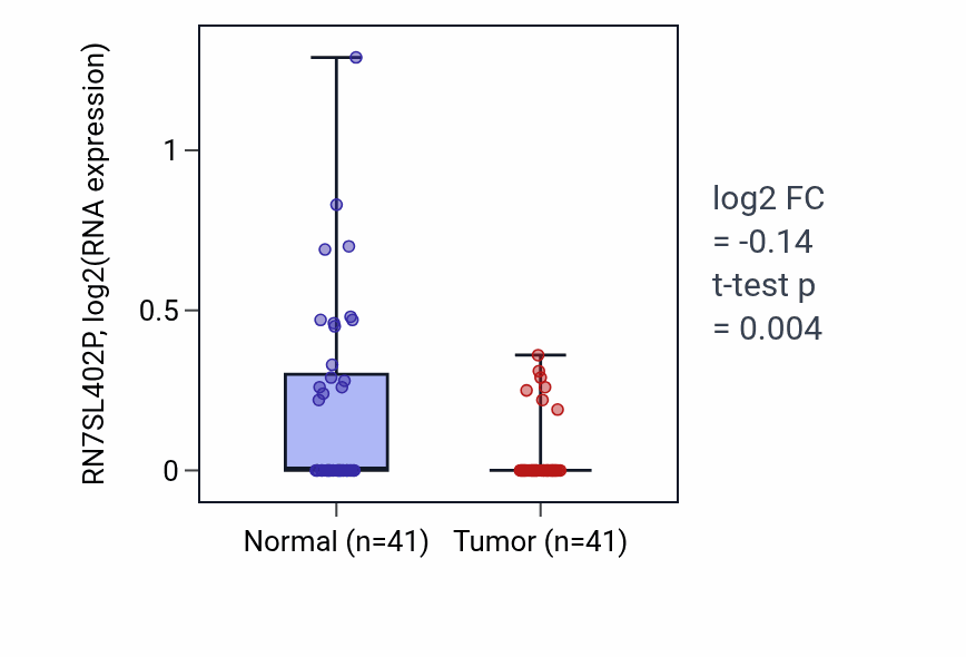 Tumor-vs-normal expression box plot for RN7SL402P in THCA.