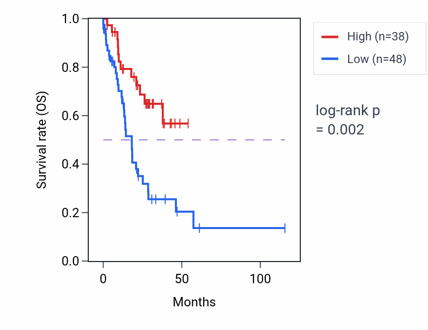 Kaplan&ndash;Meier survival curve for RN7SL419P RNA expression in STAD: high vs low expression groups.