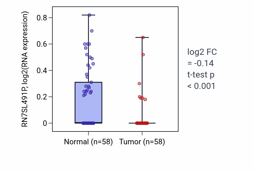 Tumor-vs-normal expression box plot for RN7SL491P RNA in THCA.