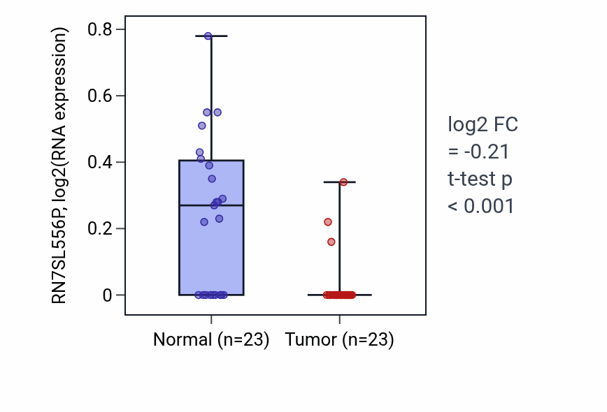 Tumor-vs-normal expression box plot for RN7SL556P in THCA.