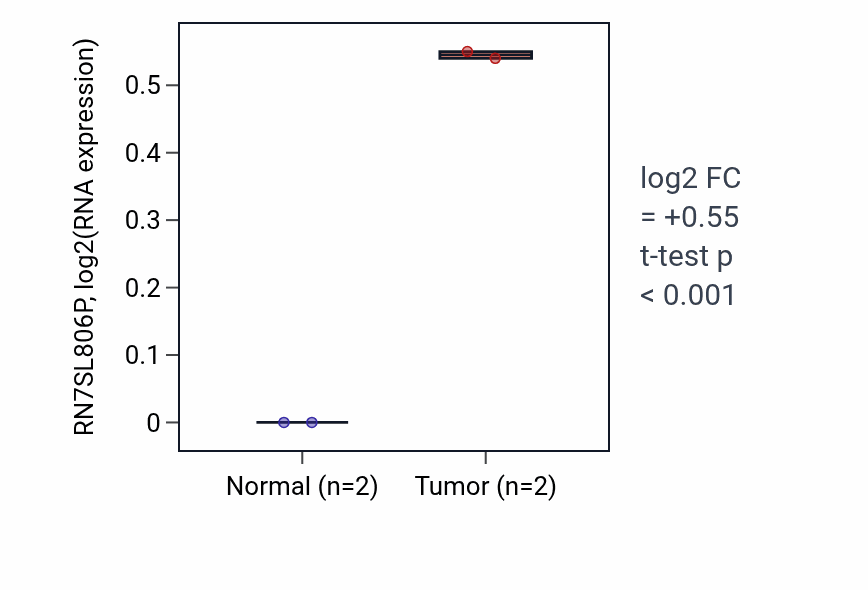 Tumor-vs-normal expression box plot for RN7SL806P in READ.