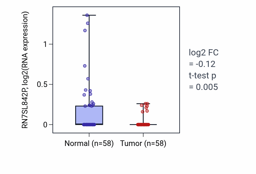 Tumor-vs-normal expression box plot for RN7SL842P RNA in THCA.