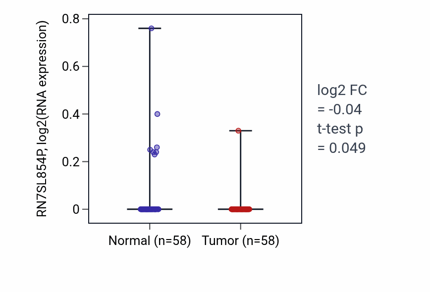 Tumor-vs-normal expression box plot for RN7SL854P RNA in THCA.