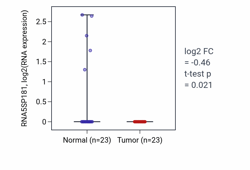 Tumor-vs-normal expression box plot for RNA5SP181 in UCEC.