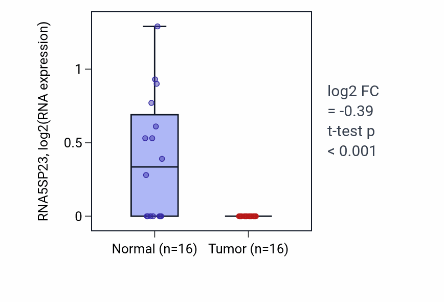 Tumor-vs-normal expression box plot for RNA5SP23 in LUSC.