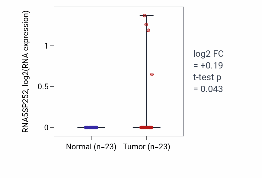 Tumor-vs-normal expression box plot for RNA5SP252 in UCEC.