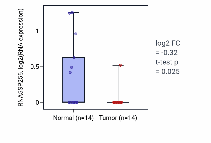 Tumor-vs-normal expression box plot for RNA5SP256 in LUSC.