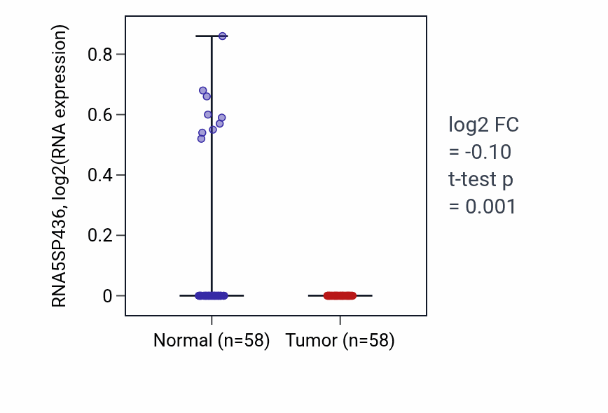 Tumor-vs-normal expression box plot for RNA5SP436 in THCA.