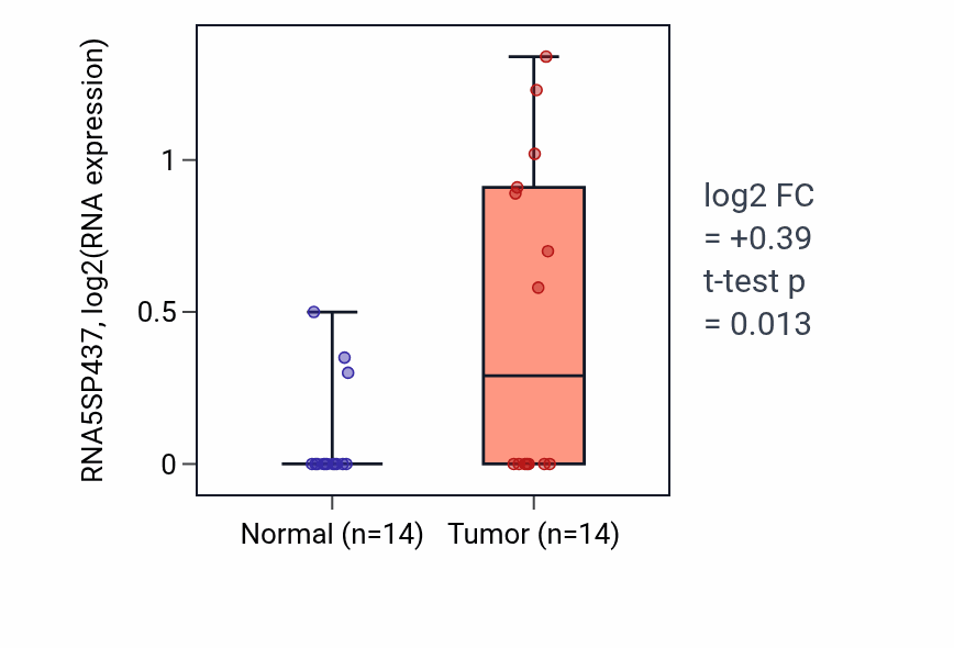 Tumor-vs-normal expression box plot for RNA5SP437 in STAD.