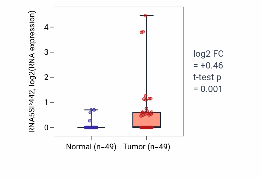Tumor-vs-normal expression box plot for RNA5SP442 in LUSC.