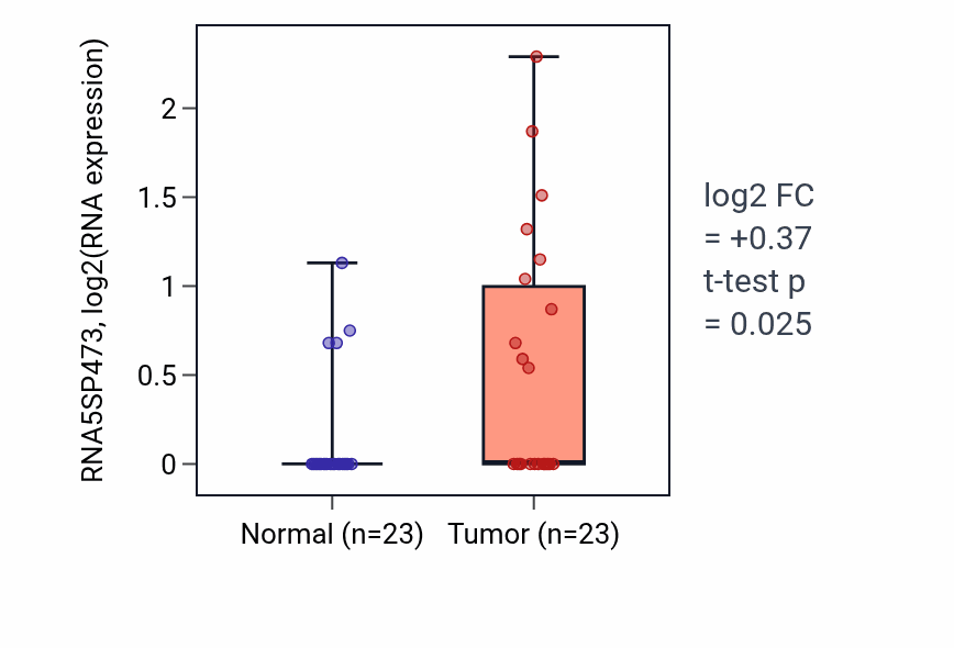 Tumor-vs-normal expression box plot for RNA5SP473 in UCEC.
