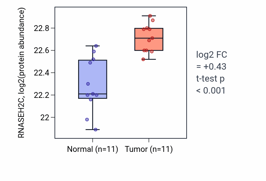 Tumor-vs-normal mass-spec protein box plot for RNASEH2C in CCRCC.