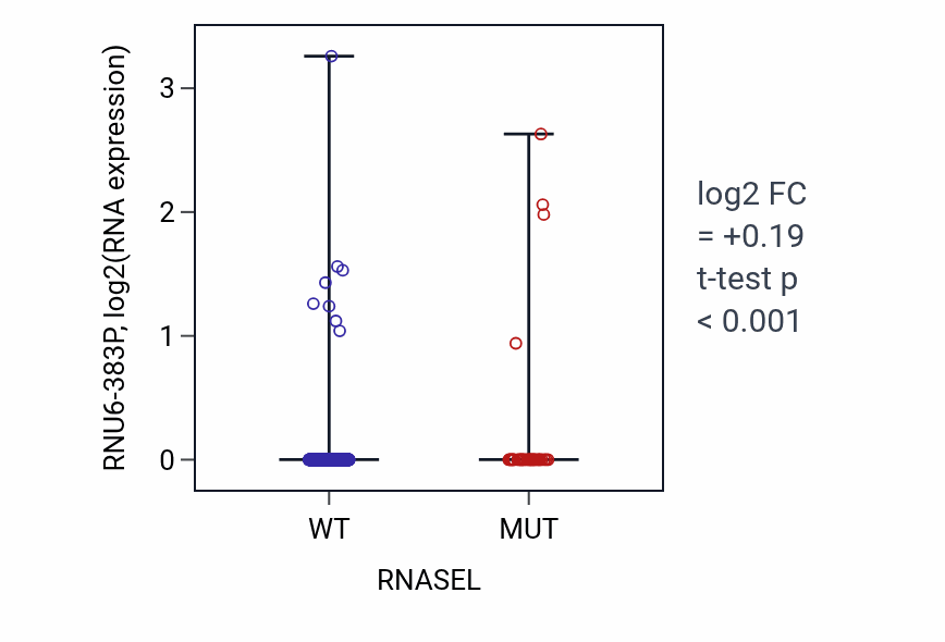 Box plot of RNU6-383P in RNASEL-low vs RNASEL-high samples in UCEC.