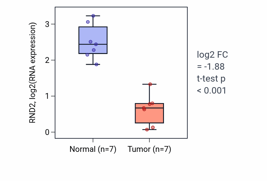 Tumor-vs-normal expression box plot for RND2 RNA in KICH.