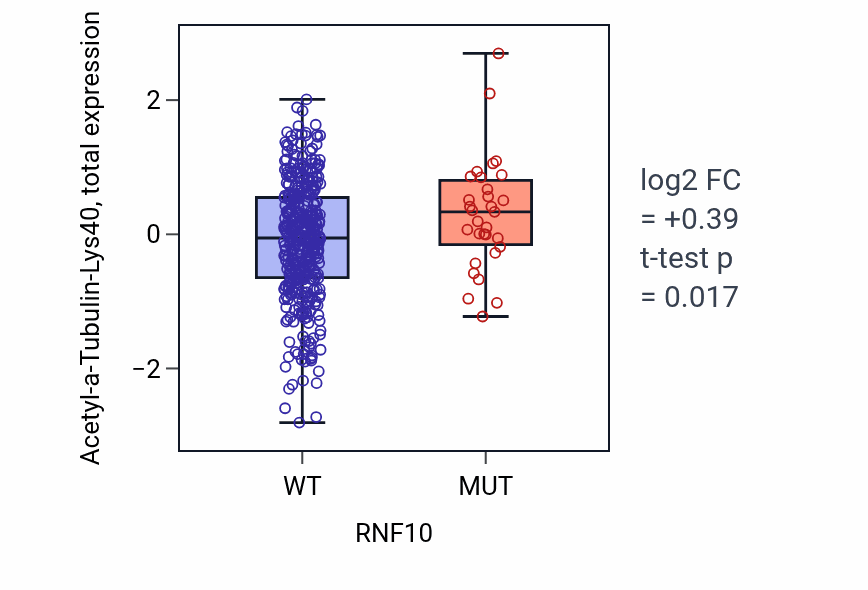 Box plot of Acetyl-a-Tubulin-Lys40 in RNF10-low vs RNF10-high samples in UCEC.