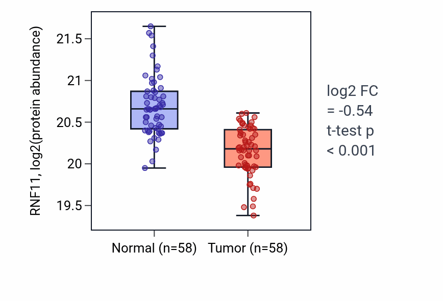 Tumor-vs-normal mass-spec protein box plot for RNF11 in LUAD.