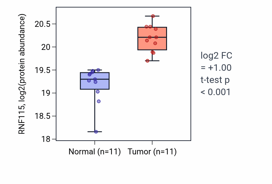 Tumor-vs-normal mass-spec protein box plot for RNF115 in LUAD.