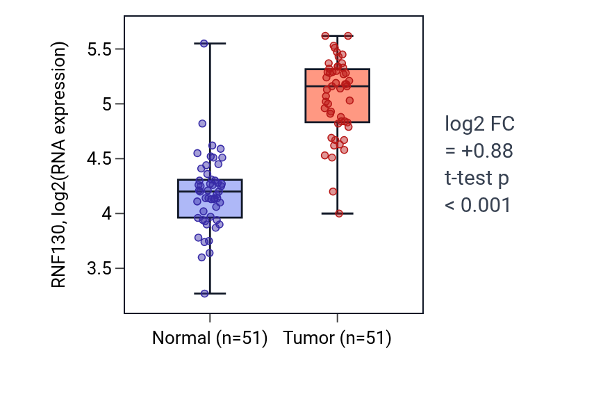 Tumor-vs-normal expression box plot for RNF130 in KIRC.